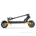 Más nuevo modelo de 10 pulgadas 2 ruedas Fat Tire cubo Dual Motor 52V 2000W 20.8AH Scooter eléctrico Adultos